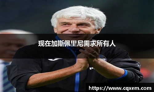 现在加斯佩里尼需求所有人